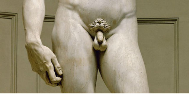 il pene e i testicoli sono asimmetrici