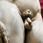 Sai perché il pene e i testicoli sono asimmetrici? Sai perché il pene e i testicoli sono asimmetrici?