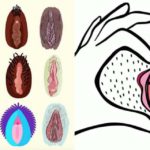 4 cose che non sai sull'imene (compresi i miti da sfatare)