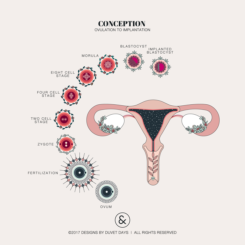 10 immagini di anatomia femminile per superare la violenza sessuale