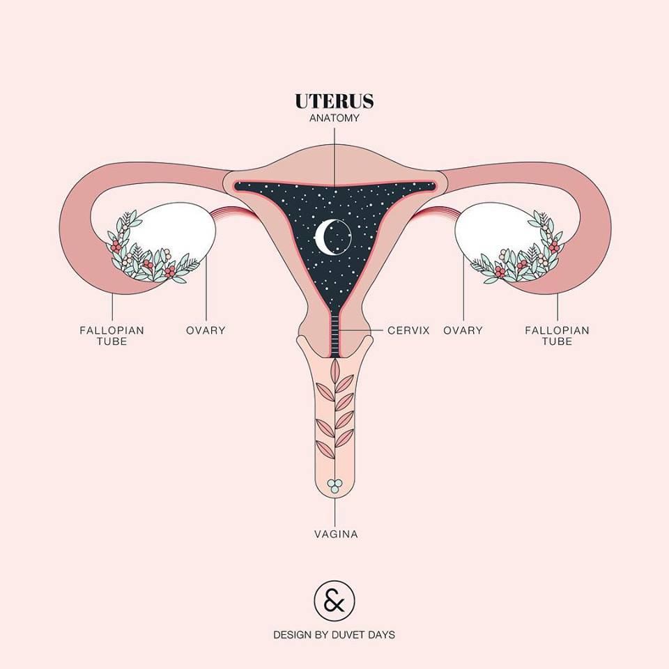 10 immagini di anatomia femminile per superare la violenza sessuale