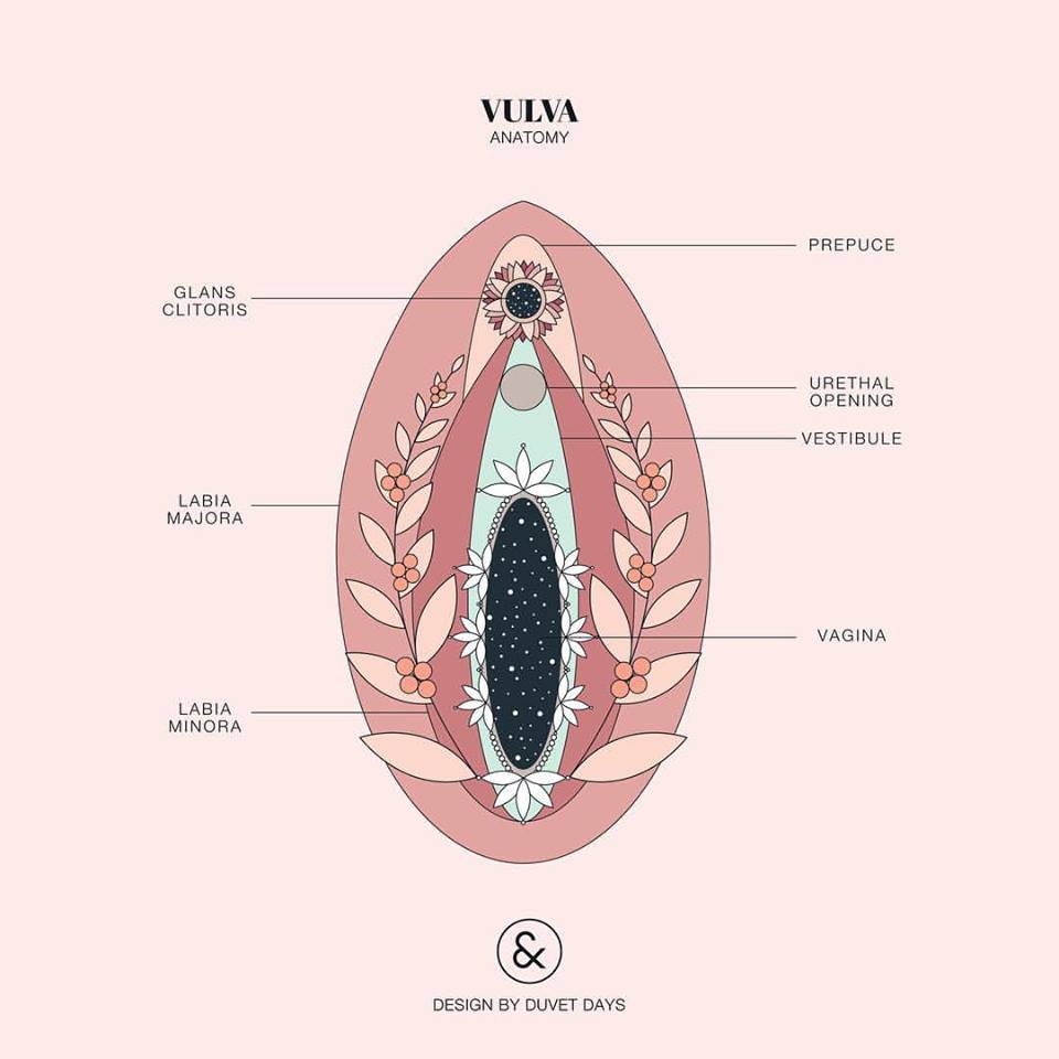 10 immagini di anatomia femminile per superare la violenza sessuale