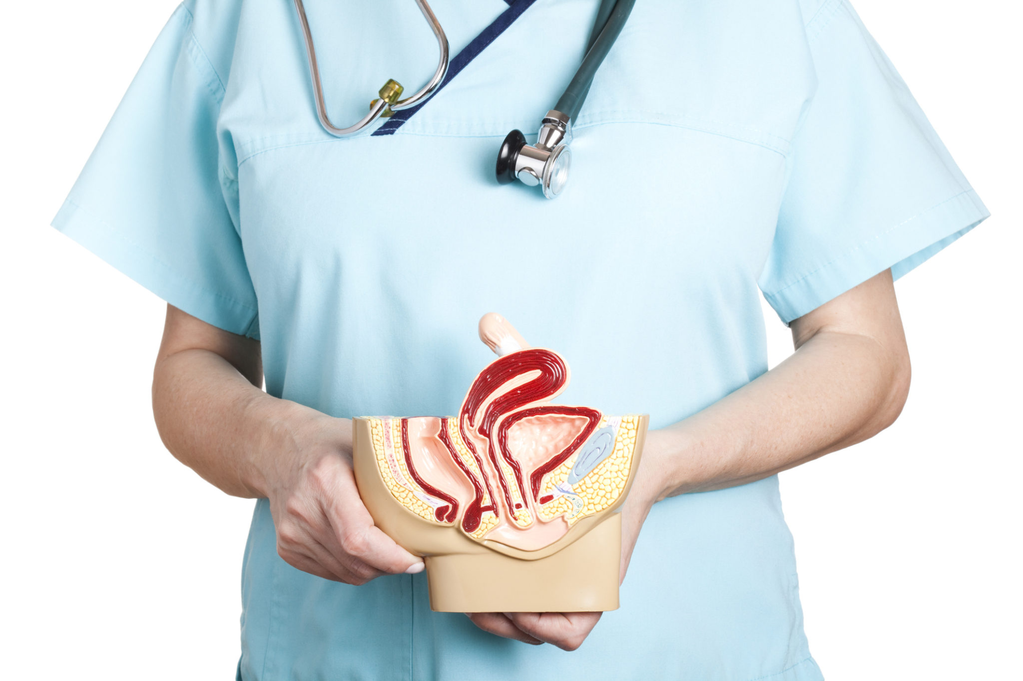 Basta confusione: vagina e vulva non sono la stessa cosa