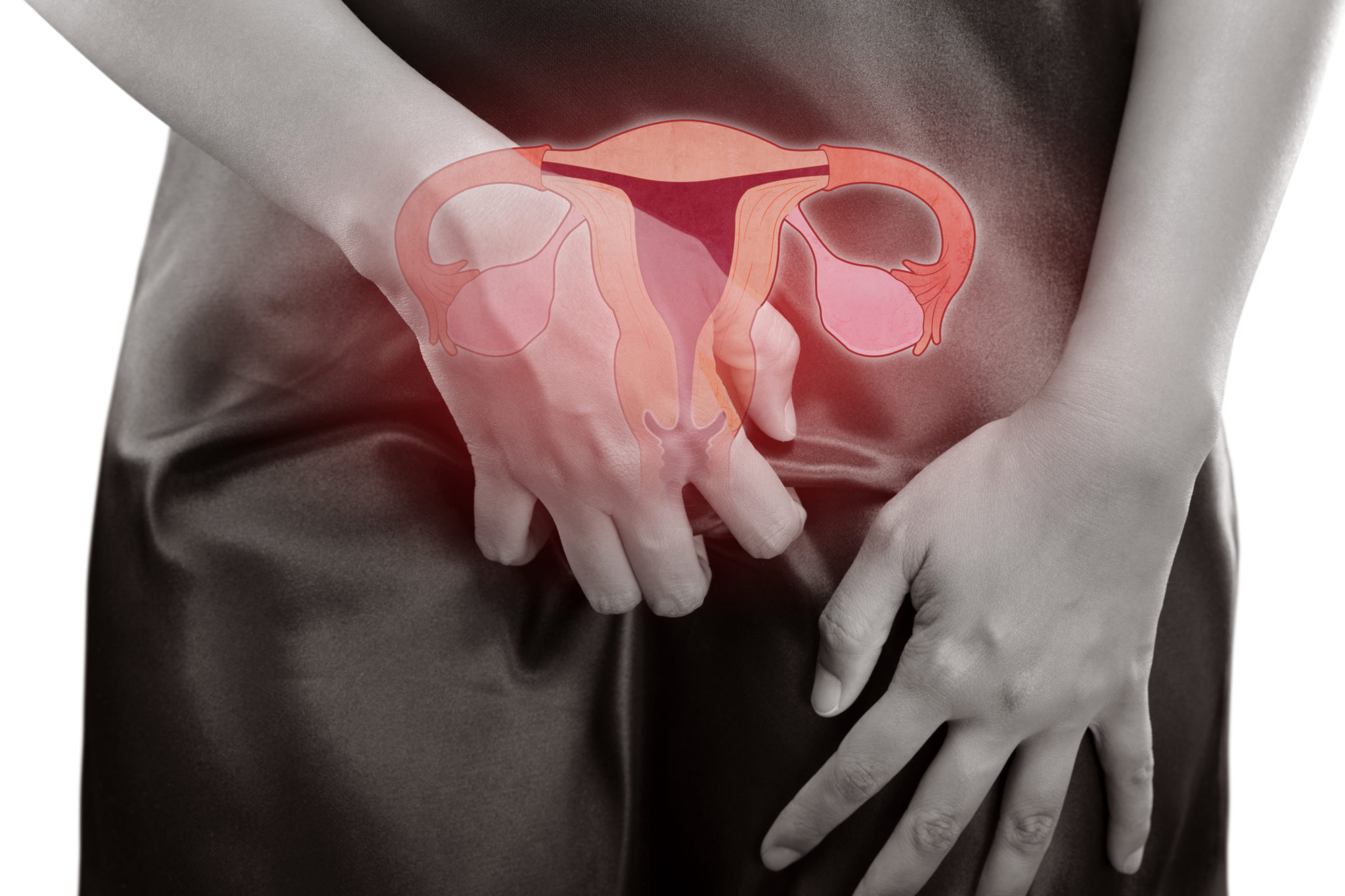 Basta confusione: vagina e vulva non sono la stessa cosa