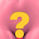 Basta confusione: vagina e vulva non sono la stessa cosa