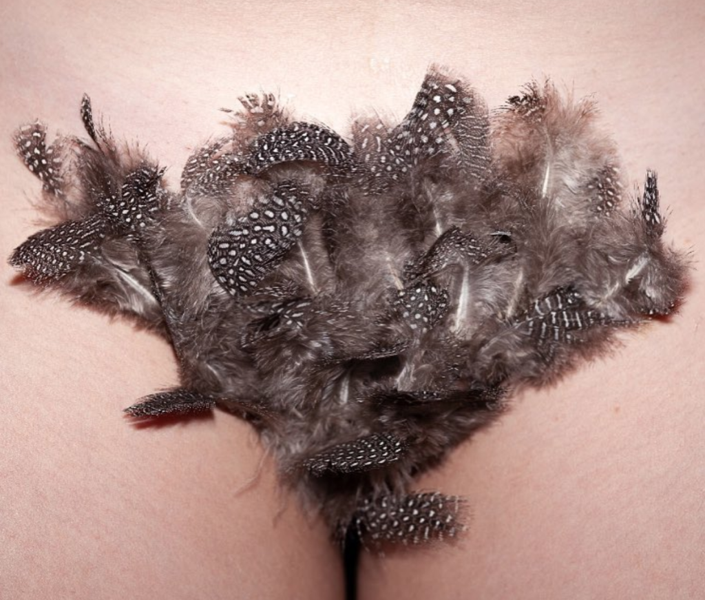 Vajazzling, la decorazione che fa splendere la vagina: chi la fa e controindicazioni
