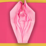 La Bibbia della Vagina (e della vulva): 10 cose che nessuno ti ha detto