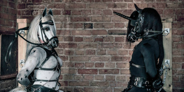Pony-play: il gioco erotico in cui uno dei due fa... Il cavallo