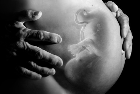 Fotografie in 4D: I Feti Sofferenti delle Madri Fumatrici, Inchiesta Shock Fotografie in 4D: I Feti Sofferenti delle Madri Fumatrici, Inchiesta Shock
