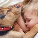 Cani e bambini: consigli preziosi per far nascere un'amicizia davvero speciale