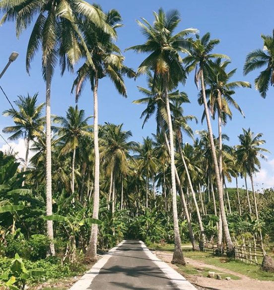 Famiglia lascia città e lavoro e si trasferisce a Bali: "Potete farlo anche voi"