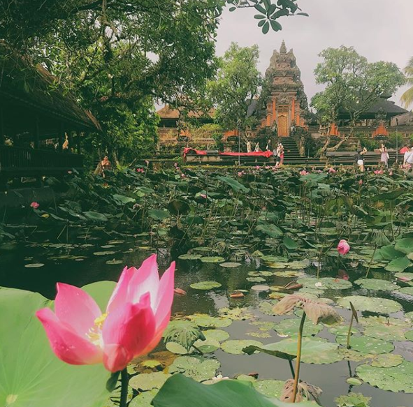 Famiglia lascia città e lavoro e si trasferisce a Bali: "Potete farlo anche voi"