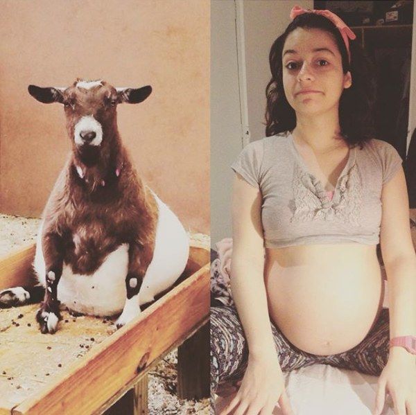 12 cose semiserie che possono accadere alle donne incinte