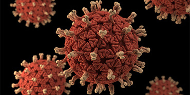 rotavirus