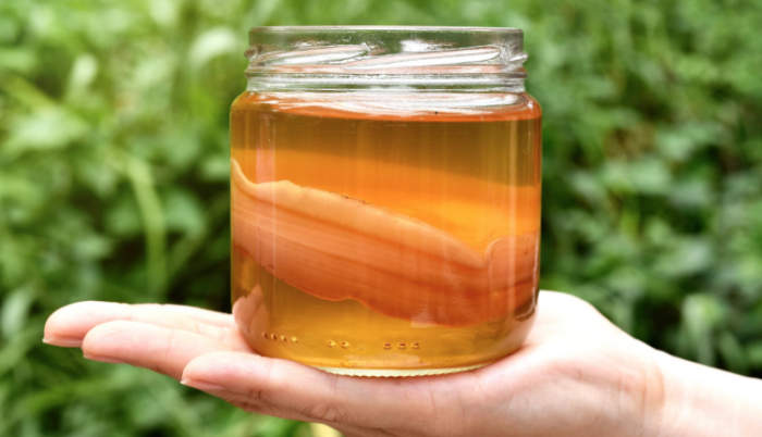 Il kombucha, la bevanda "dell'immortalità" che fa bene alla salute
