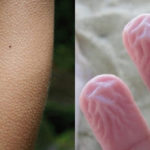 Sai perché ti viene la pelle d'oca e se stai tanto in acqua le tue mani diventano così? Sai perché ti viene la pelle d'oca e se stai tanto in acqua le tue mani diventano così?