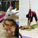 Doga (o Dog Yoga) e Goat Yoga: perché fare yoga con il cane o... la capra