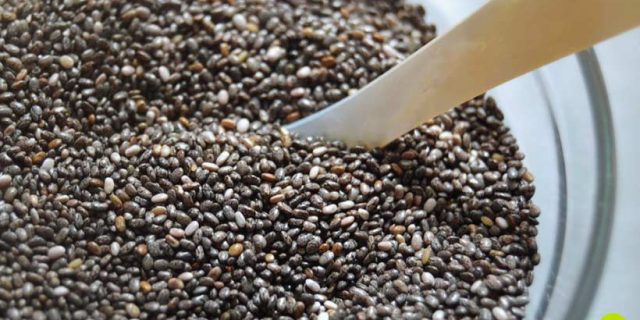 semi di chia proprietà