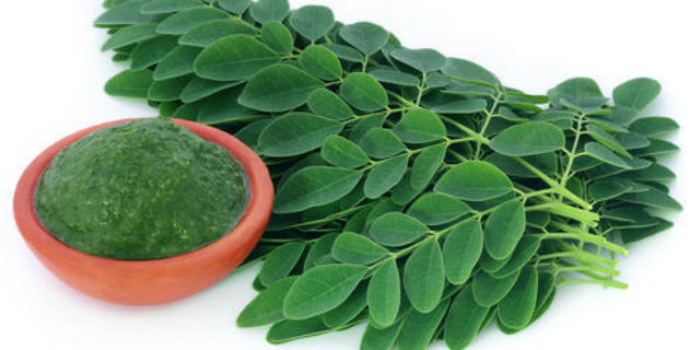 moringa proprietà e benefici