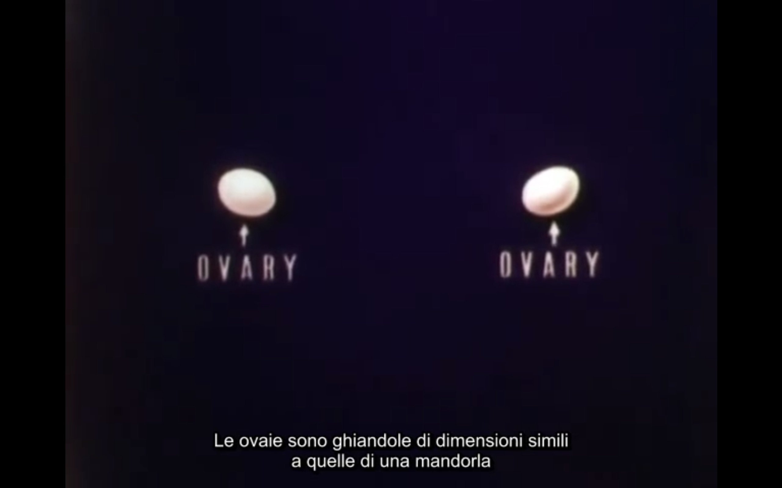 La Storia delle Mestruazioni, il cartone Disney in cui si spiega il ciclo