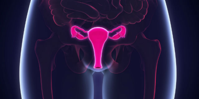 Isteroscopia diagnostica: quando farla e preparazione dell'esame Isteroscopia diagnostica: quando farla e preparazione dell'esame