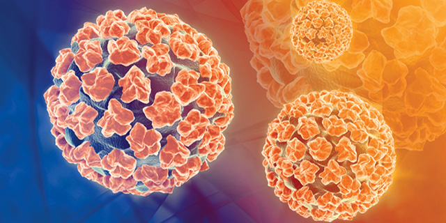 hpv