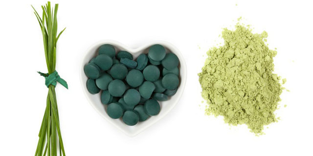 Alga spirulina