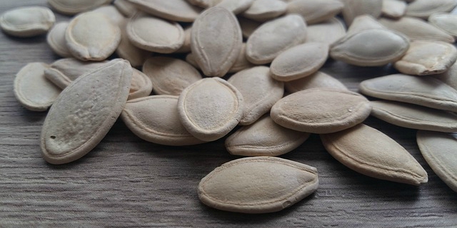 semi di zucca