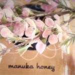 Miele di manuka: benefici e proprietà terapeutiche