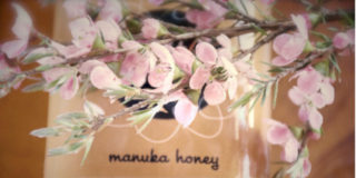 miele di hanuka