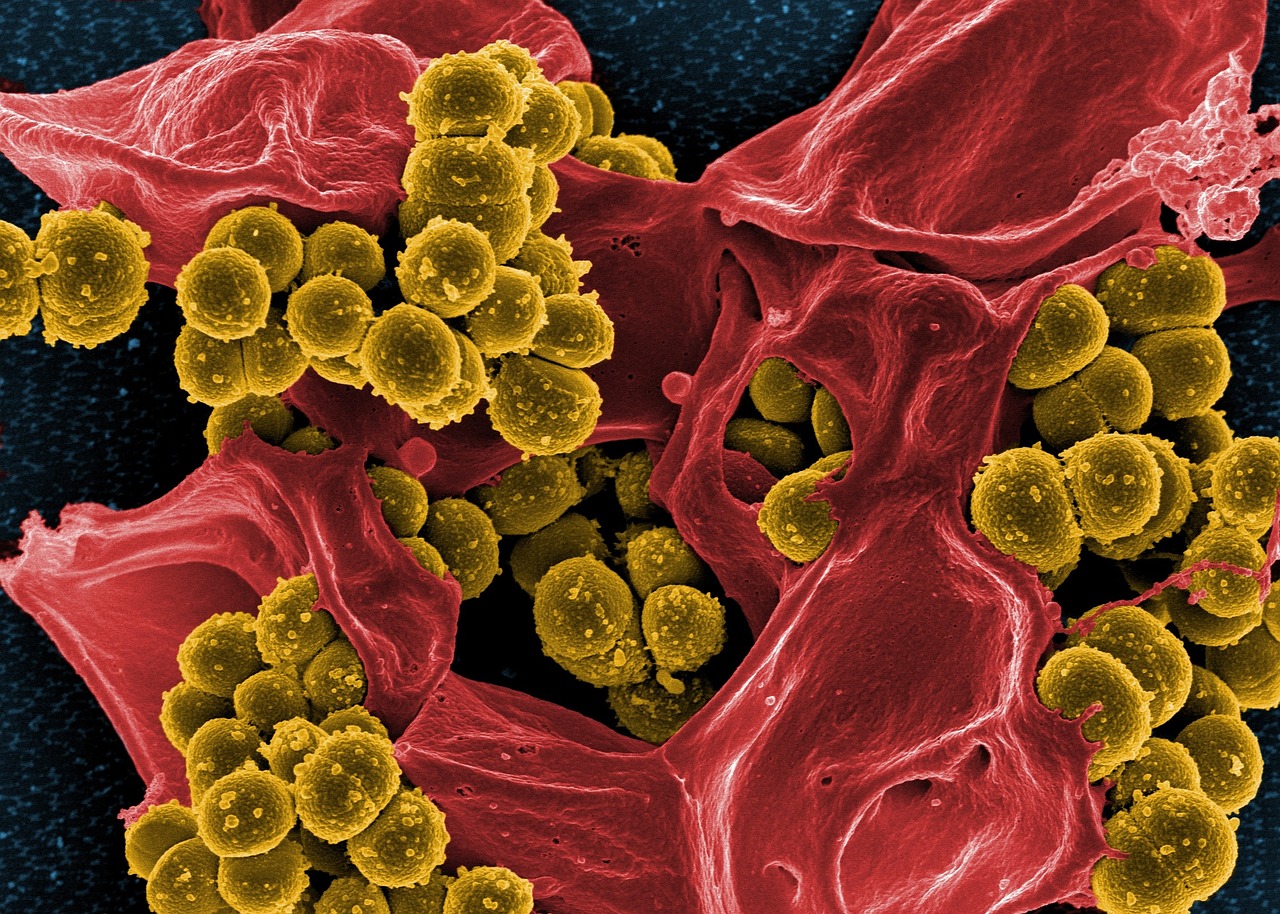 Non solo HIV: 7 malattie sessualmente trasmissibili, poco o per nulla conosciute