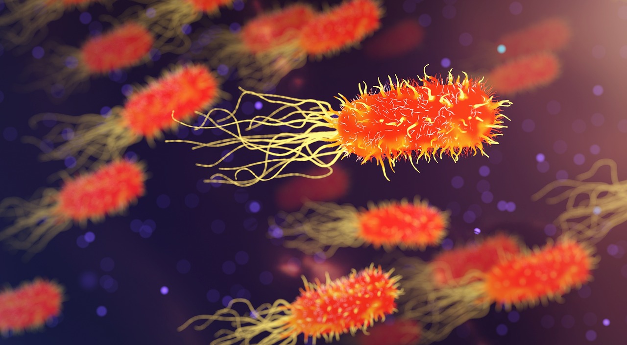 Non solo HIV: 7 malattie sessualmente trasmissibili, poco o per nulla conosciute