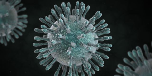 virus mers