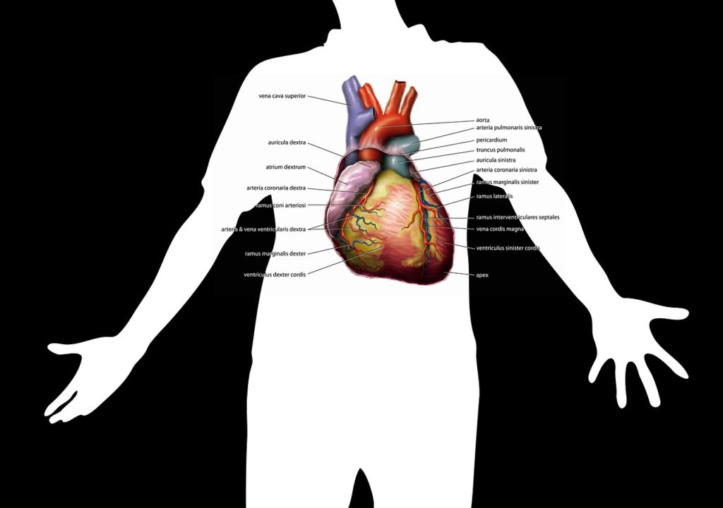 Cosa succede al nostro corpo quando svapiamo VS quando fumiamo