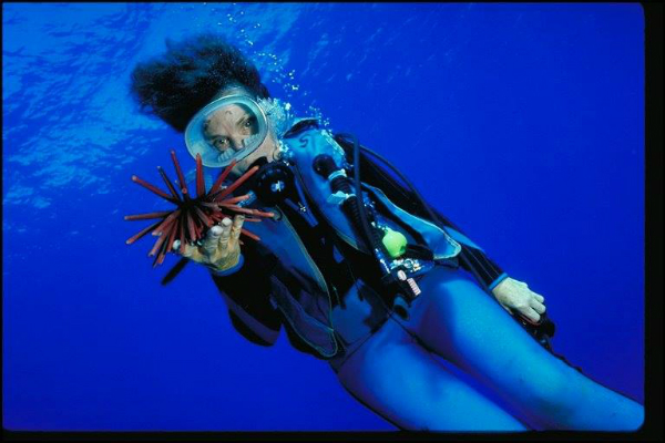 Sylvia Earle: "I figli ci chiederanno perché non li abbiamo salvati quando potevamo"
