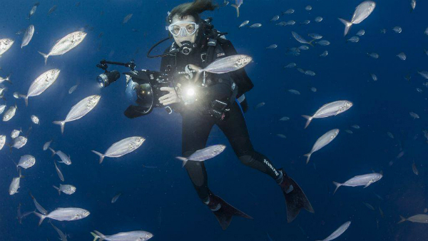 Sylvia Earle: "I figli ci chiederanno perché non li abbiamo salvati quando potevamo"