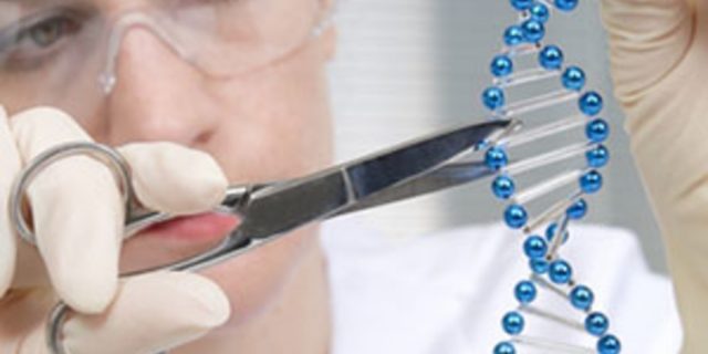La terapia genica eliminerà dal nostro futuro malattie e sindromi genetiche? La terapia genica eliminerà dal nostro futuro malattie e sindromi genetiche?