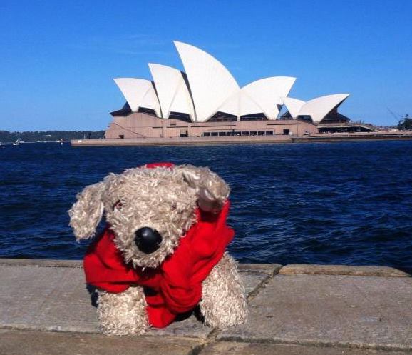 Pocker, Il DogTrotter Che Promuove I Canili In Viaggio Per Il Mondo