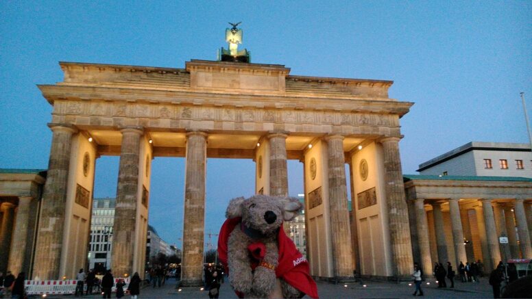 Pocker, Il DogTrotter Che Promuove I Canili In Viaggio Per Il Mondo