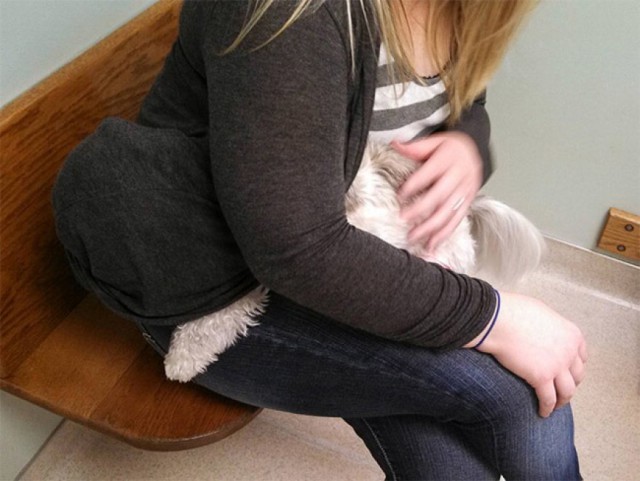 Le Foto Dei Cuccioli Che Hanno Il Terrore Del Veterinario