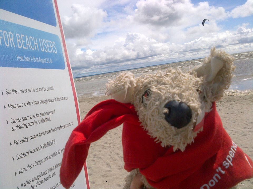 Pocker, Il DogTrotter Che Promuove I Canili In Viaggio Per Il Mondo