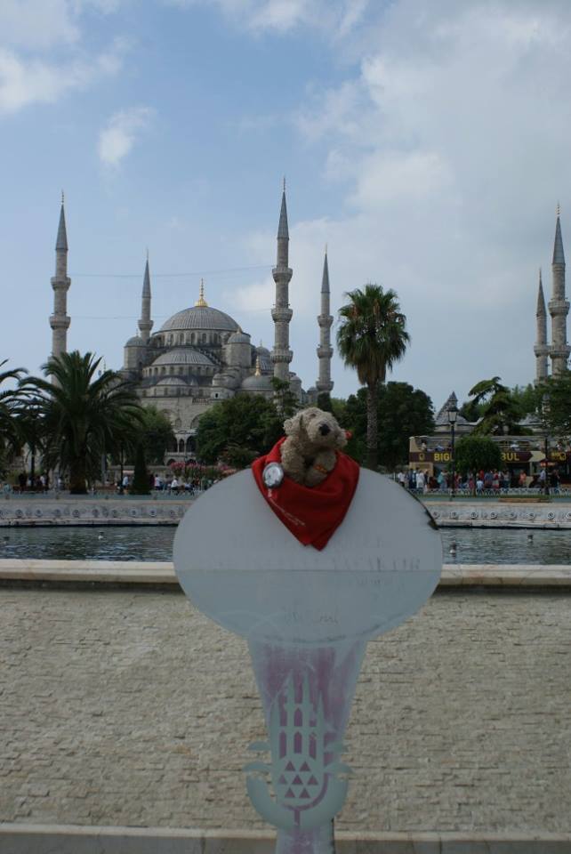 Pocker, Il DogTrotter Che Promuove I Canili In Viaggio Per Il Mondo