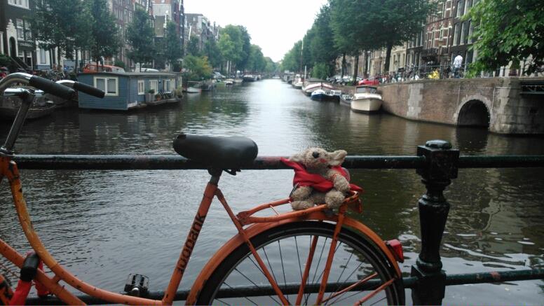 Pocker, Il DogTrotter Che Promuove I Canili In Viaggio Per Il Mondo
