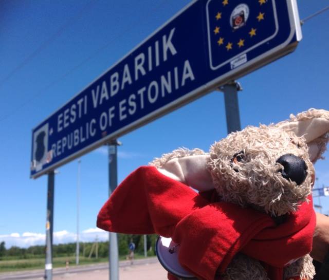 Pocker, Il DogTrotter Che Promuove I Canili In Viaggio Per Il Mondo