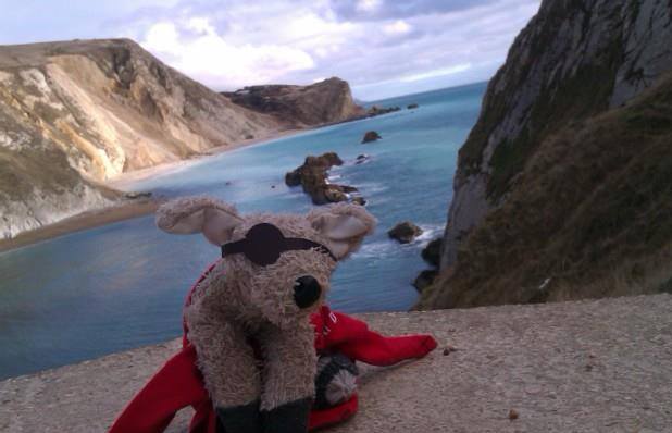 Pocker, Il DogTrotter Che Promuove I Canili In Viaggio Per Il Mondo