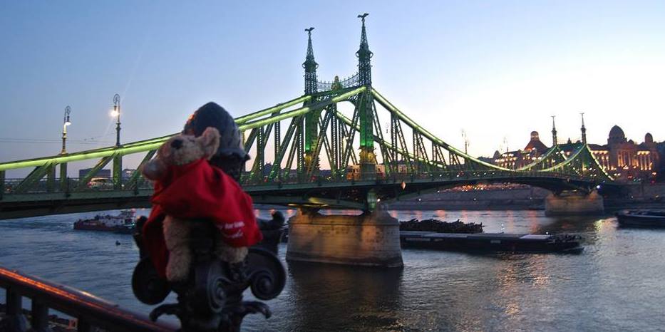Pocker, Il DogTrotter Che Promuove I Canili In Viaggio Per Il Mondo