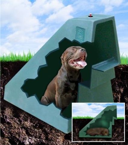 Le 43 migliori invenzioni per cani