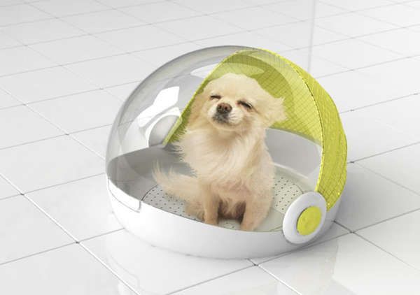 Le 43 migliori invenzioni per cani