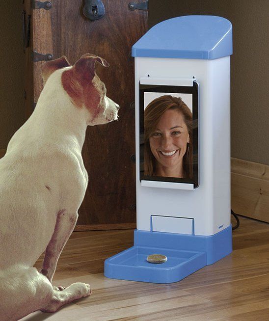 Le 43 migliori invenzioni per cani