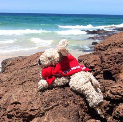 Pocker, Il DogTrotter Che Promuove I Canili In Viaggio Per Il Mondo
